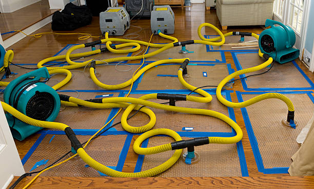 Professional Basement Flood Cleanup technician working in Strasburg, OH